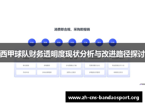 西甲球队财务透明度现状分析与改进路径探讨 西甲球队财务透明度现状分析与改进路径探讨