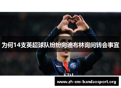 为何14支英超球队纷纷向迪布林询问转会事宜