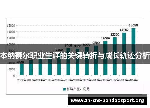 本纳赛尔职业生涯的关键转折与成长轨迹分析