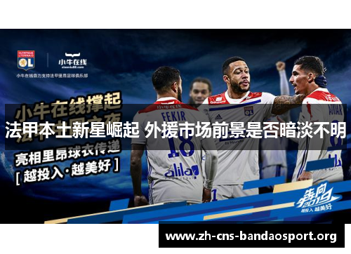 法甲本土新星崛起 外援市场前景是否暗淡不明