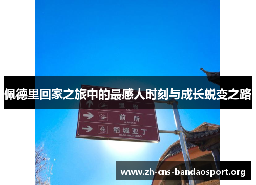 佩德里回家之旅中的最感人时刻与成长蜕变之路