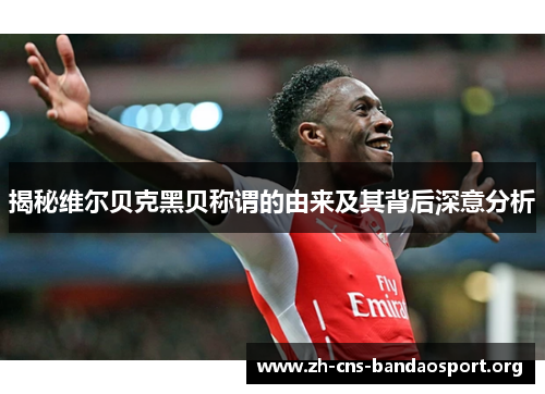 揭秘维尔贝克黑贝称谓的由来及其背后深意分析 揭秘维尔贝克黑贝称谓的由来及其背后深意分析